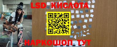 бошки Краснодар