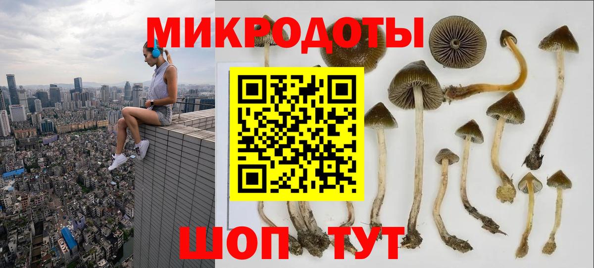Псилоцибиновые грибы Psilocybine cubensis Усолье-Сибирское
